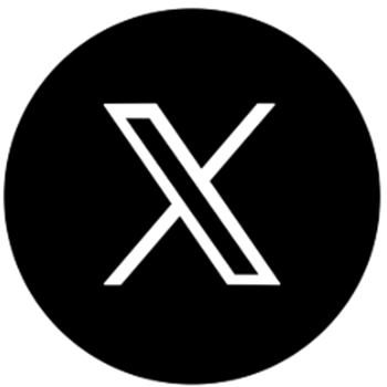 X-icon