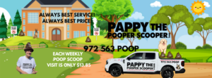 Pappy TV
